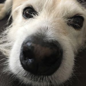 Meet your Posher, Alina